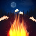 Camp Fire Marshmallow Composition Royalty Free Stock Photo