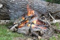 Camp fire Royalty Free Stock Photo