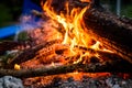 Camp fire in the night with burning wood and flames. Royalty Free Stock Photo