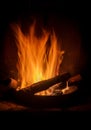 Camp fire in the night Royalty Free Stock Photo