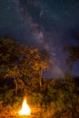 Camp fire in night forest glade under milky way Royalty Free Stock Photo