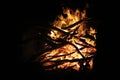 Camp fire night with friends Royalty Free Stock Photo