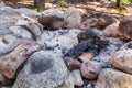 Camp fire place Royalty Free Stock Photo