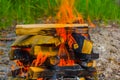 Camp fire in a summer forest Royalty Free Stock Photo