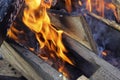 camp fire with wood at childrens farm Royalty Free Stock Photo