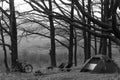 Camp in the forest. Camping tent and portable chairs and aluminum table. Cold autumn day. concept of vacation and outdoor Royalty Free Stock Photo