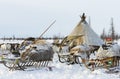 Camp of nomadic tribe in the polar tundra