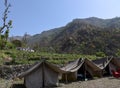 Jungle camping on the mountains