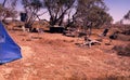 Camp site -Coopers Creek re Charles Gray expedition.