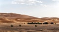 Camp site with tents over sand dunes in Sahara desert, Morocco Royalty Free Stock Photo
