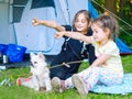 Camp in the tent - girls with little dog chihuahua sitting together near the tent Royalty Free Stock Photo