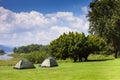 Camp and tent on green grass field under clear sky Royalty Free Stock Photo