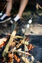 Camp tradition. How to roast marshmallows. Roasty, toasty marshmallows such quintessential taste of picnic. Holding Royalty Free Stock Photo