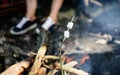 Camp tradition. Marshmallows on stick with bonfire and smoke on background. Holding marshmallow on stick. How to roast Royalty Free Stock Photo