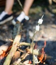 Camp tradition. Marshmallows on stick with bonfire and smoke on background. How to roast marshmallows. Roasty, toasty Royalty Free Stock Photo