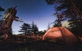 Camp under star sky among cedar trees,Tahtal Mountain Range.