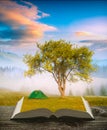 Camp under the tree on a book Royalty Free Stock Photo