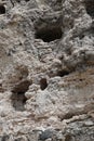 Camp Verde, Arizona, USA: Detail of the Montezuma Castle National Monument Royalty Free Stock Photo