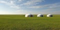 Yurt , in the grassland of Mongolia Royalty Free Stock Photo