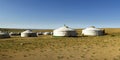 Camp of yurt , in the steppe of Mongolia