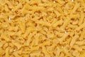 Campanelle pasta Royalty Free Stock Photo