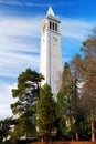 The Campanile UC Berkeley