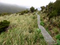 Campbell Islands, Subantarctic New Zealand