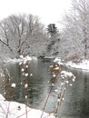 Fall Creek in wintertime snow in Ithaca NewYorkState Royalty Free Stock Photo