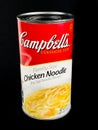 Campbell`s Chicken Noodle Soup Can