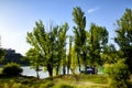 Camper van parked under trees