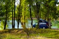 Camper van parked under trees