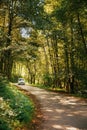 A camper van traveling along a path between leafy trees. Van road trip holiday and outdoor summer adventure. Nomad lifestyle
