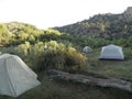 Tents at a Campsite in an Outback forest.