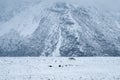 A campervan driving on the road in a snowy day. Mount Cook Village valley