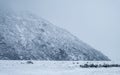 A campervan driving on the road in a snowy day. Mount Cook Village valley