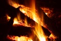 Campfire background Royalty Free Stock Photo