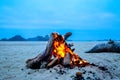 Campfire on a beach on a cold fall evening