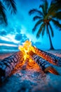 A campfire on the beach with palm trees in the background Royalty Free Stock Photo