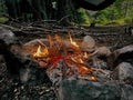 Campfire blazing in the center of a lush forest, surrounded by rocks and branches.