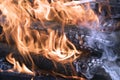 Campfire with blazing fire flames, burnt firewoods and smoke closeup