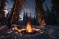 campfire blazing with flames reaching high into the sky, surrounded by snow-covered trees