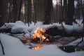 campfire blazing in snowy forest, with reflection of flames visible on the snow