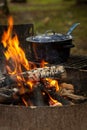 A campfire with a blue pot cooking