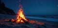 Campfire burning on beach at night, stars visible, warmth, scenic Royalty Free Stock Photo