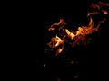 Campfire burning fire flame on black background, orange yellow fire flames night orange yellow fire flames moving Royalty Free Stock Photo