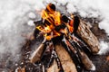 Campfire burns in the snow in the woods.. campfire burning in cold winter. Snow, forest and fire. Winter. Tourism