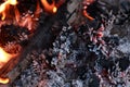 Campfire Closeup Background Royalty Free Stock Photo