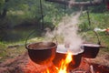 Campfire Royalty Free Stock Photo