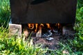 Fire while cooking in the open air Royalty Free Stock Photo