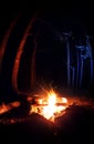 Campfire in the dark forest Royalty Free Stock Photo